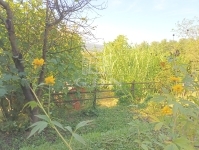 Zalaegerszeg Nyaraló