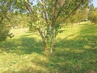 Zalaegerszeg Nyaraló