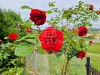 Nagykapornak Nyaraló