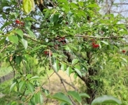 Zalaegerszeg Nyaraló