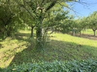 Zalaegerszeg Nyaraló