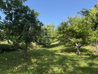 Zalaegerszeg Nyaraló