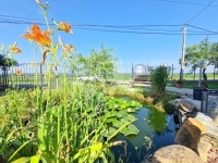 Alsórajk Családi ház