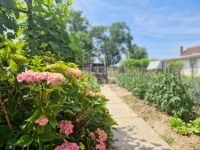 Csesztreg Családi ház