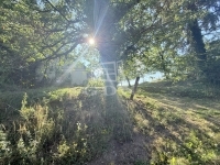 Zalatárnok Családi ház