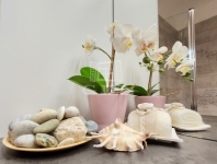 Zalaegerszeg Lakás (téglaépítésű)