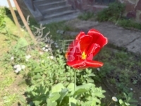 Zalaegerszeg Családi ház